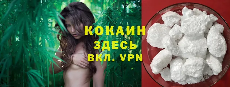 Cocaine FishScale  Новохопёрск 